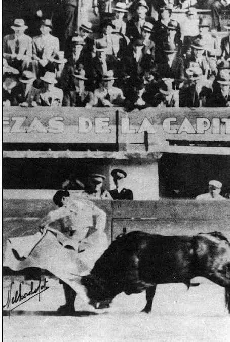 toreo de capa por pepe ortiz