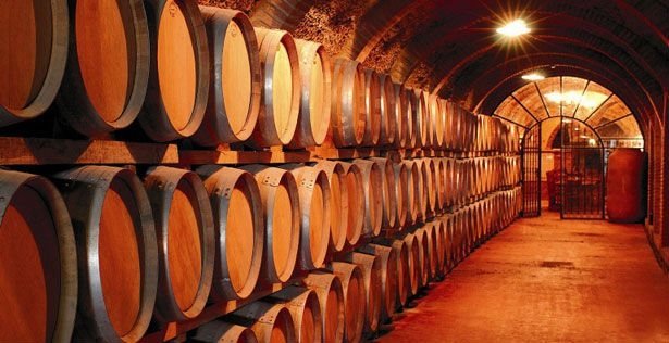 barricas de vino